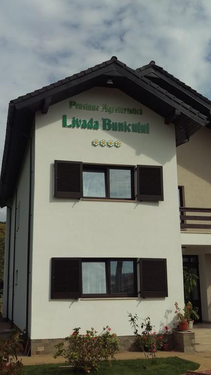 Pensiunea Livada Bunicului Stanesti  Luaran gambar