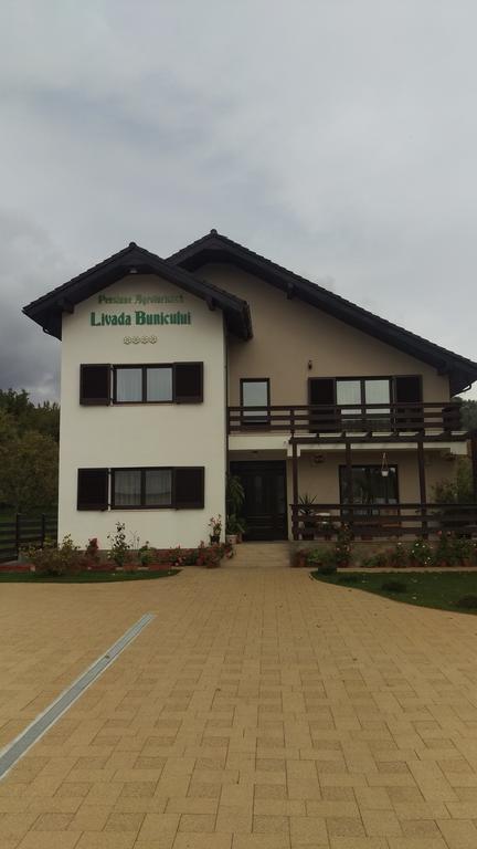 Pensiunea Livada Bunicului Stanesti  Luaran gambar